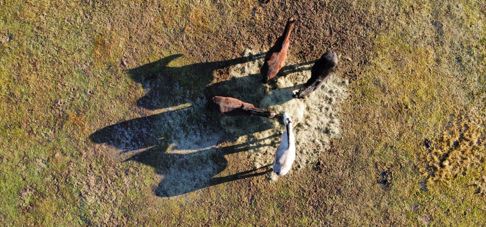 WhatsApp Image 2025-06-09 at 09.18.53